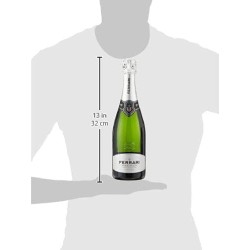 Ferrari Maximum Blanc de Blancs astucciato 75 cl.