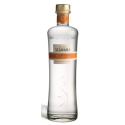 Grappa Segnana di Chardonnay 42° 0,70 lt