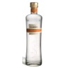 Grappa Segnana di Chardonnay 42° 0,70 lt