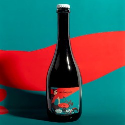 Birra Dulac "Centenario" 75 cl Smoked Strong Ale 7,0% | Birre | MistriStrenne