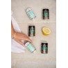 Kit Baby Gin & Tonic Mazzetti