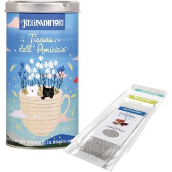 Regina di Fiori - Tisane dell Amicizia. Lattina Decorata con 12 Filtri Assortiti da 3 gr